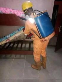 Fumigation pest control services book me now for ur service