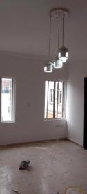 Professional house painter